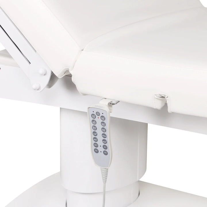 Lenly Electric Spa Treatment Table