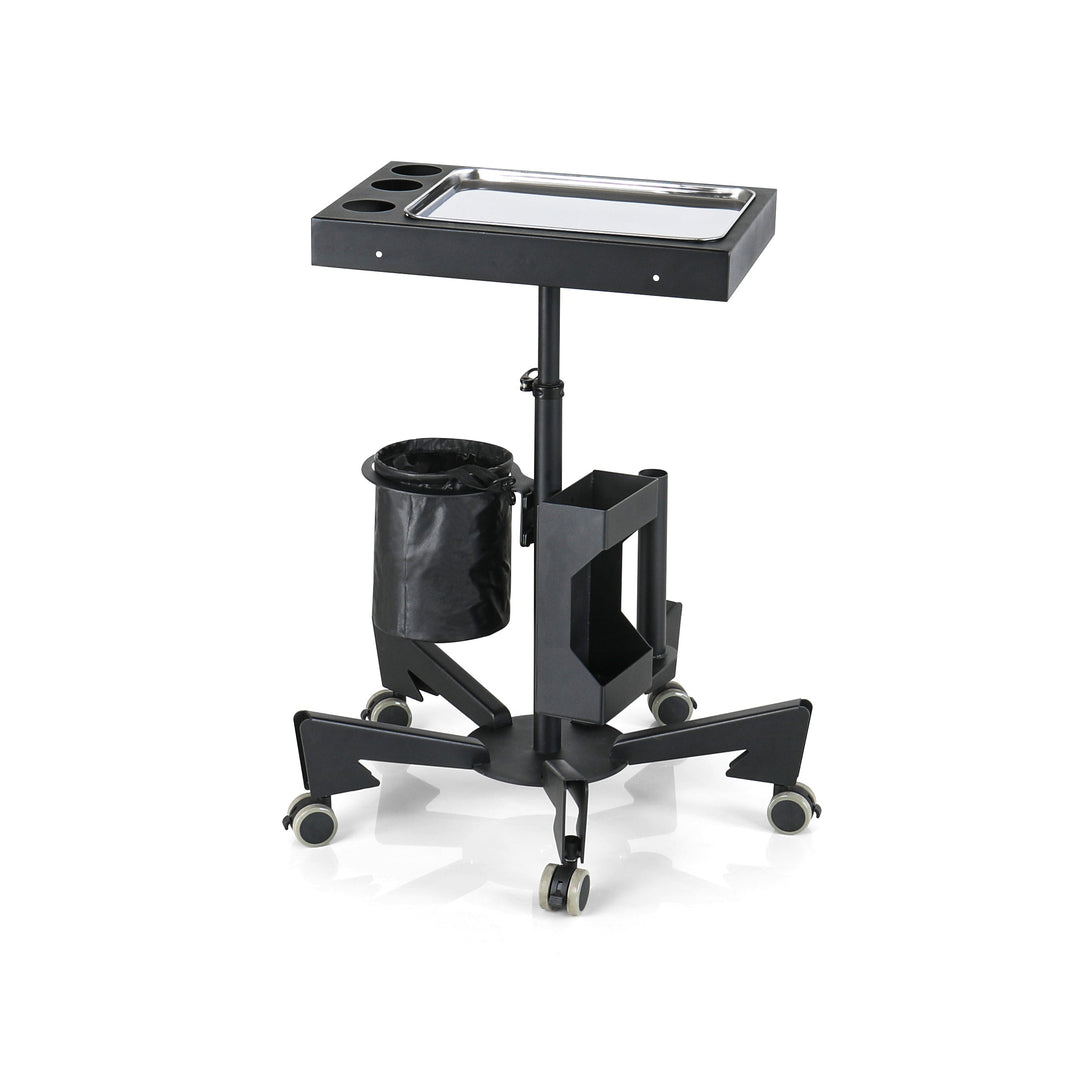 TATARTIST TA-WS-17 Mobile Tattoo Workstation