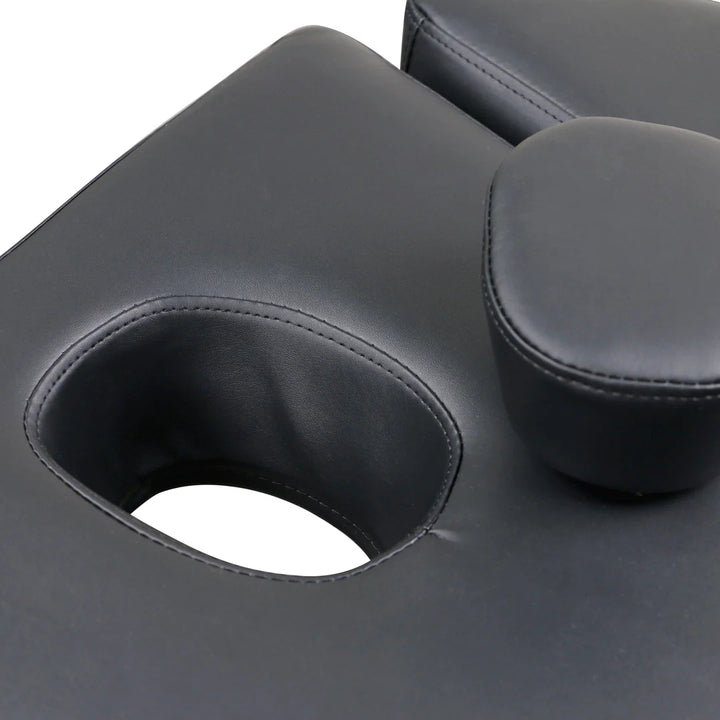 Lenly Electric Spa Treatment Table