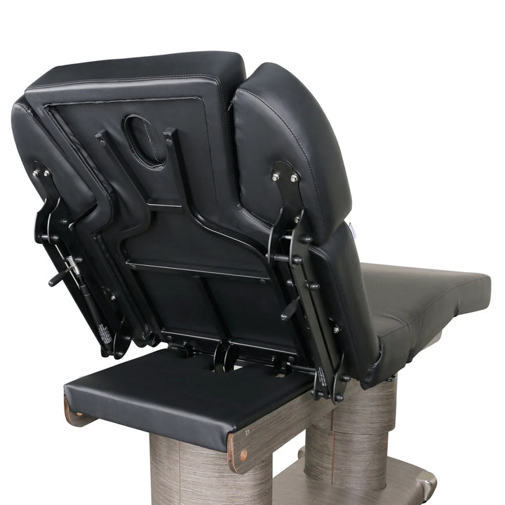 Lenly Electric Spa Treatment Table