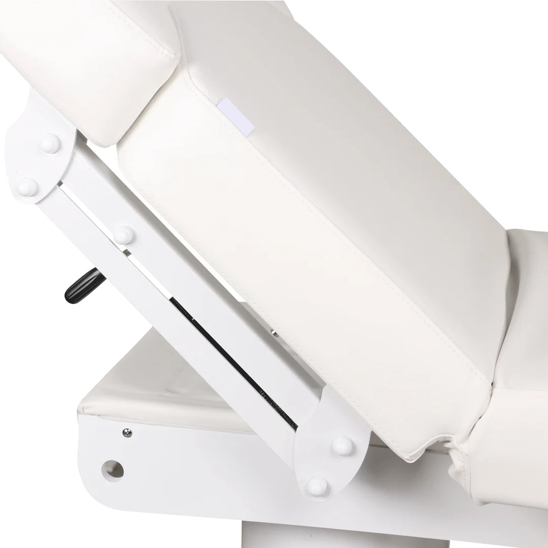 Lenly Electric Spa Treatment Table