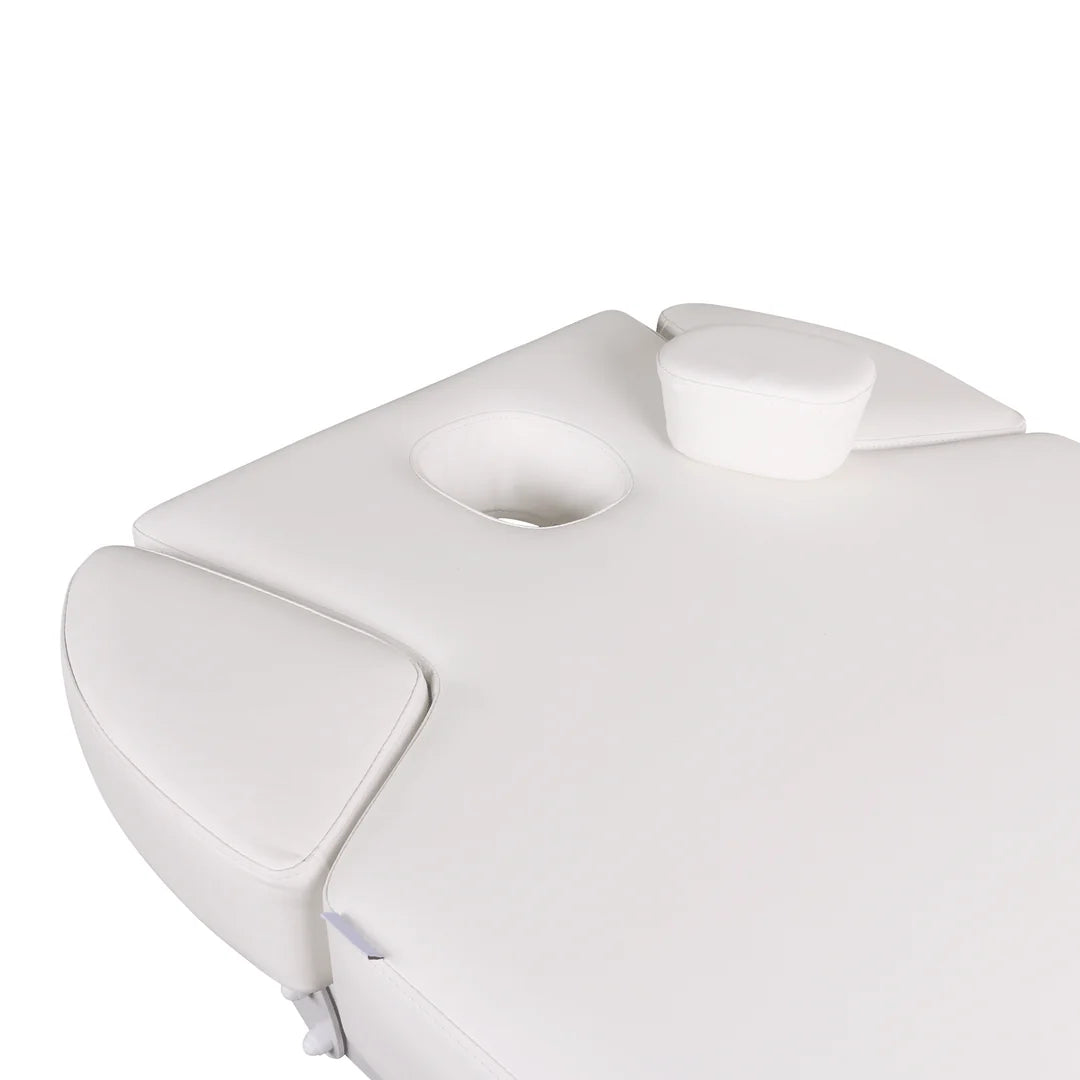 Lenly Electric Spa Treatment Table