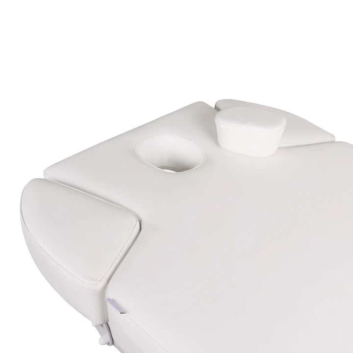 Lenly Electric Spa Treatment Table