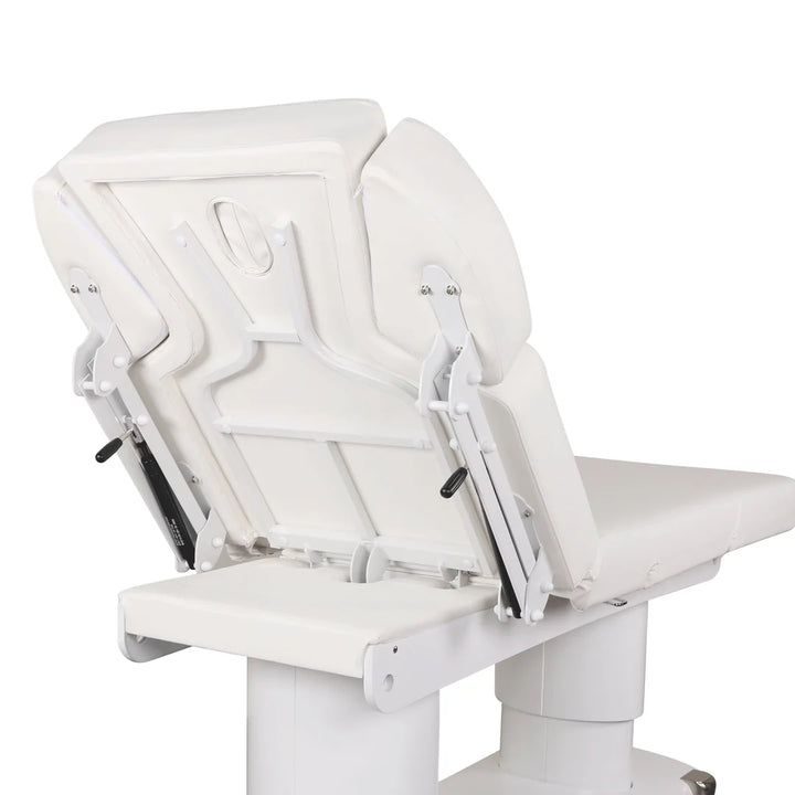 Lenly Electric Spa Treatment Table