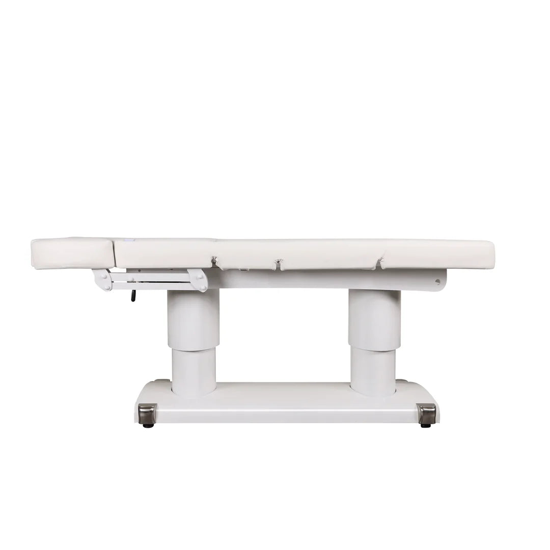 Lenly Electric Spa Treatment Table