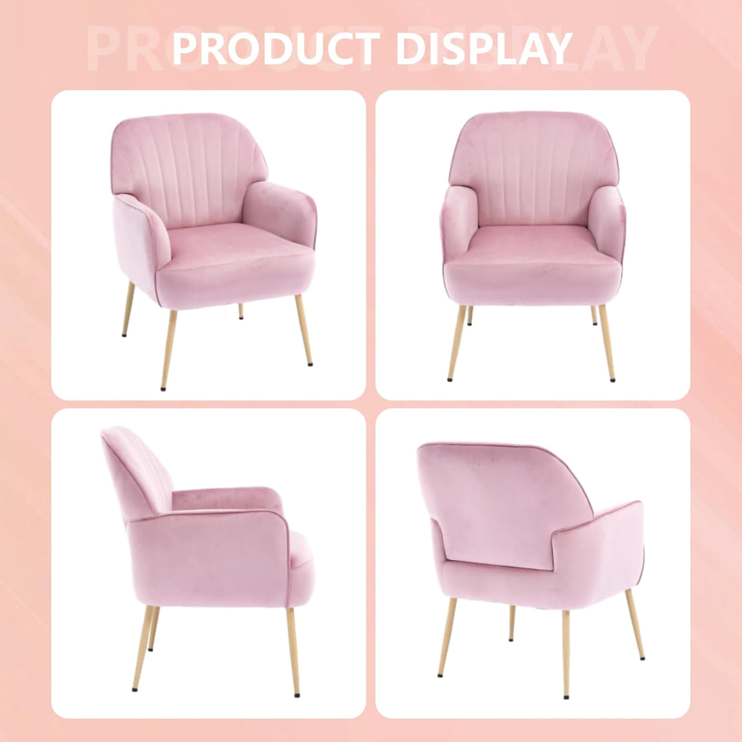 Pink Velvet Salon Accent Chair with Shell Backrest and Metal Legs