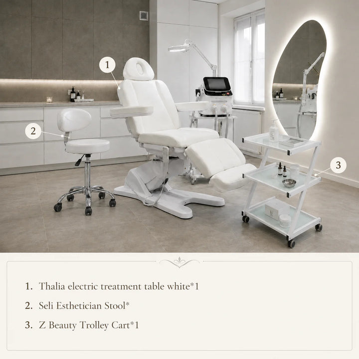 THALIA fully Electric Medical treatment Bed Set