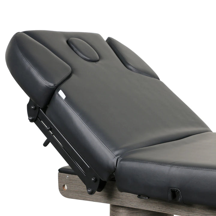 Lenly Electric Spa Treatment Table