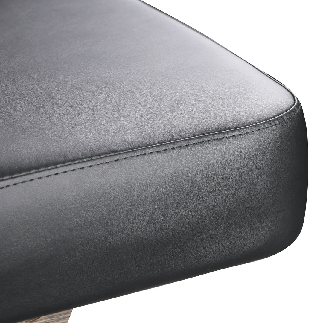 Lenly Electric Spa Treatment Table