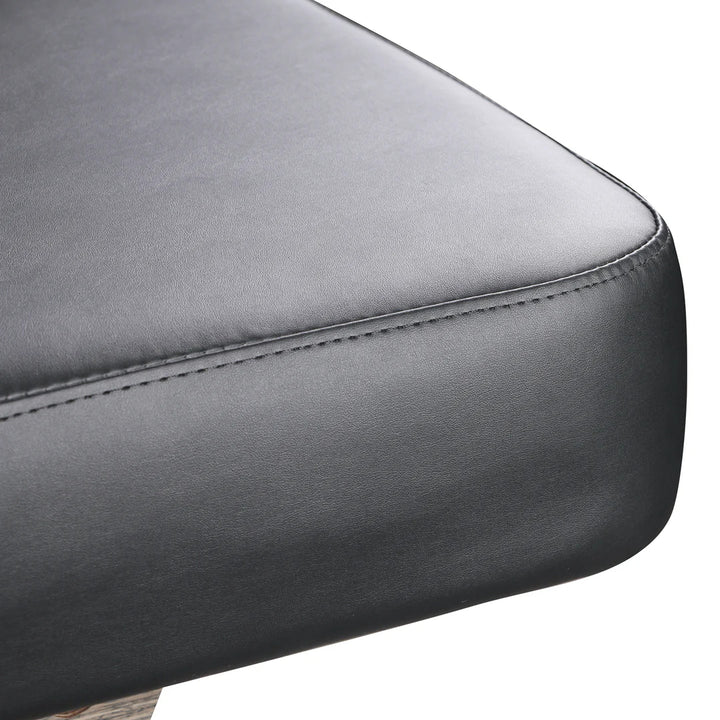 Lenly Electric Spa Treatment Table