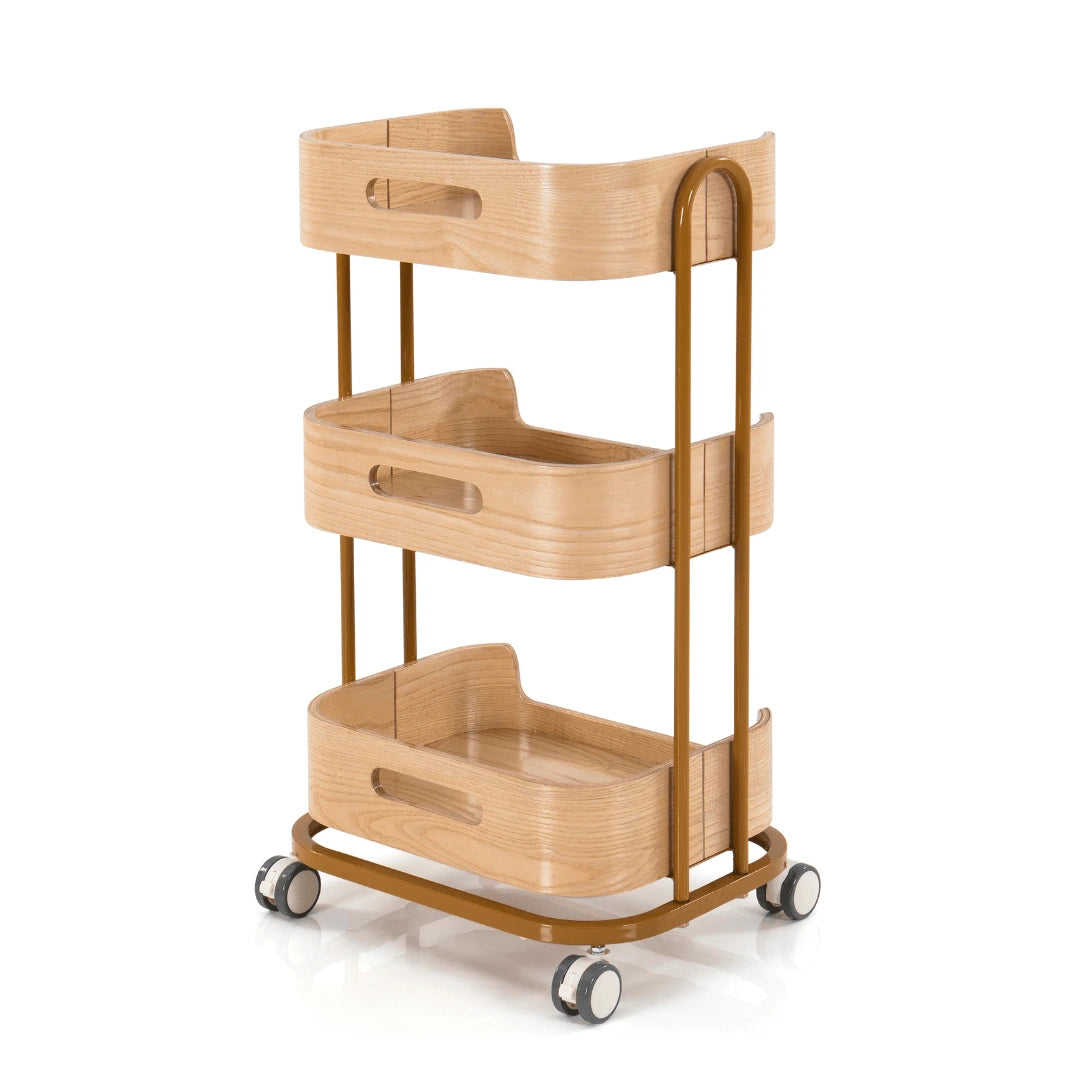 Beauty Trolleys Rolling Salon Cart OY-002